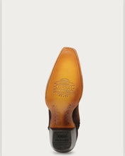 Load image into Gallery viewer, Women’s Corral Brown Embroidery &amp; Woven Tall Top Snip Toe Boot