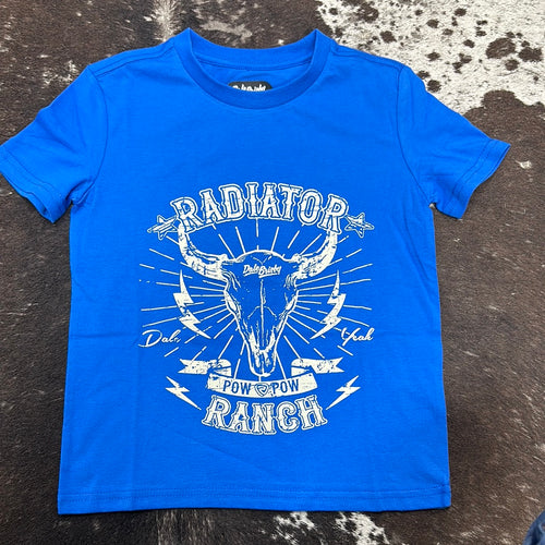Boys Dale Graphic Blue Tee.