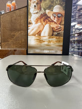 Load image into Gallery viewer, Bex Gambit Forest Sunglasses