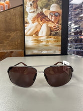 Load image into Gallery viewer, Bex Gambit Gunmetal Brown Sunglasses