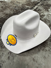 Load image into Gallery viewer, BullHide Silverbelly Kingman Jr. Hat
