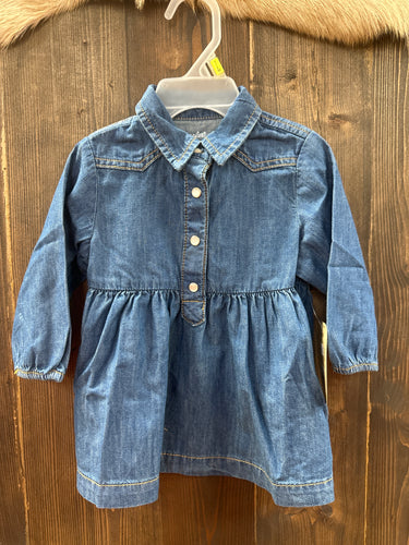 Wrangler Baby Girl LS Denim Dress Snap