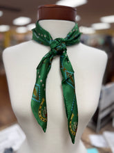 Load image into Gallery viewer, Hold Your Horses Bandana