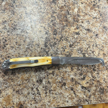 Load image into Gallery viewer, Hoofpick with Clip Knife.
