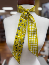 Load image into Gallery viewer, Luck Be A Paisley Twilly