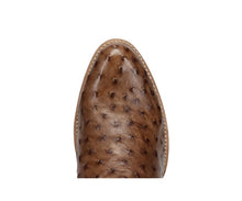 Load image into Gallery viewer, Dan Post Brown Gauge Ostrich Boot
