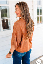 Load image into Gallery viewer, Horse Shoe Cinnamon Embroidered Short Sleeve Sweater