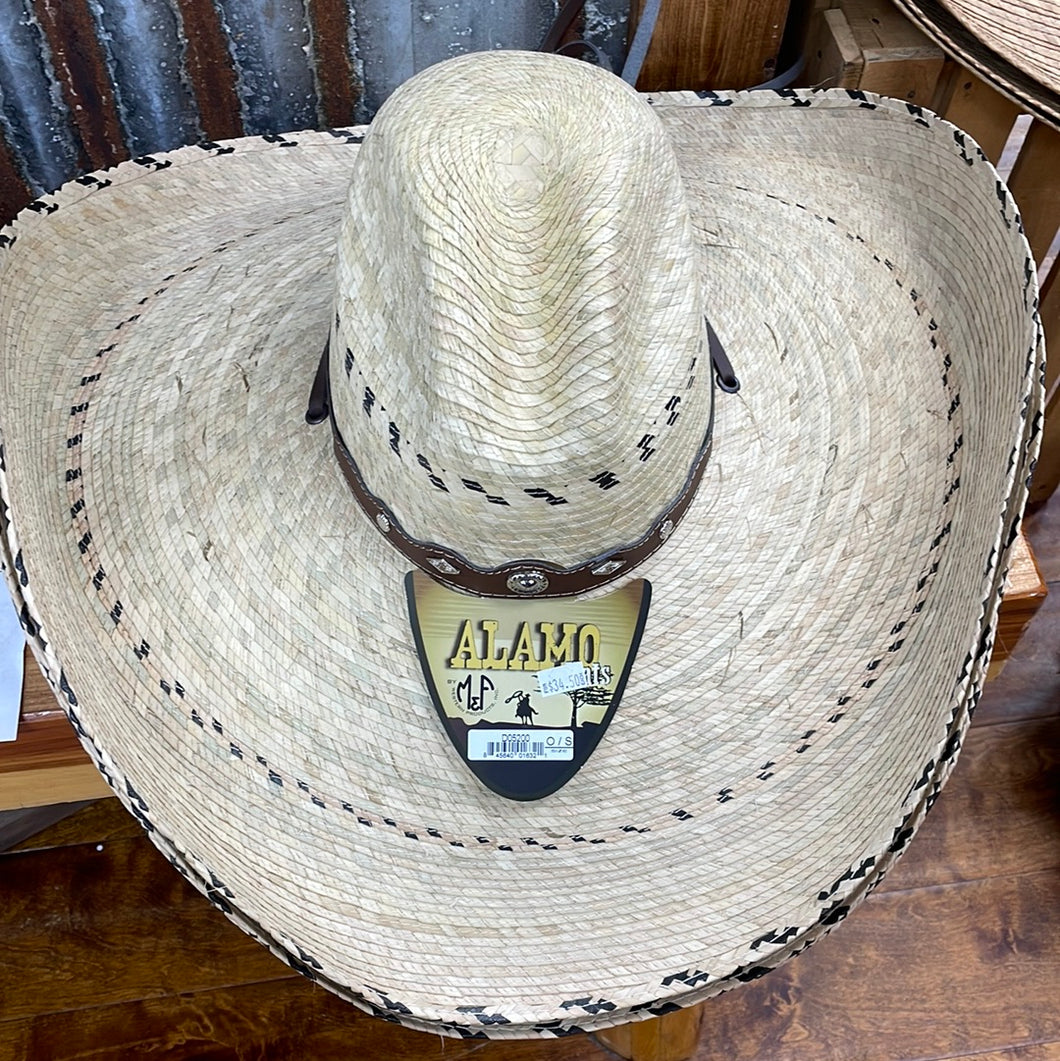 Old West Texas Python Campecha