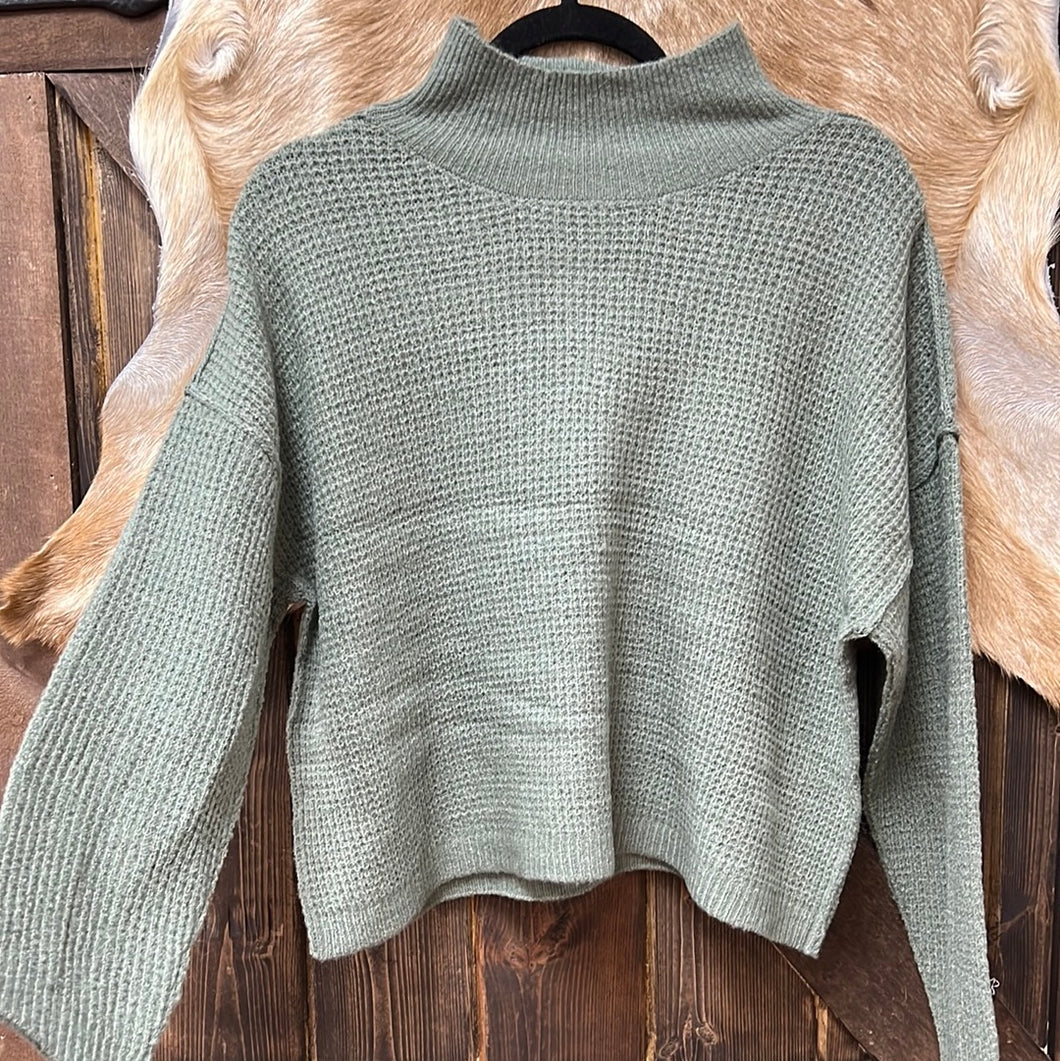 Cropped Turtle Neck Knit Sweater
