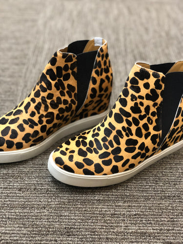 Lure Leopard Coconuts