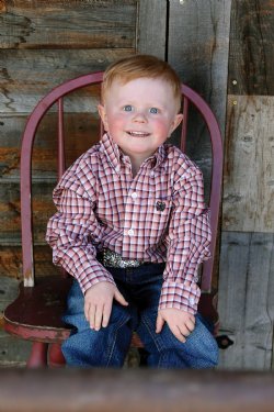 Infant Boys Plaid Pink Shirt